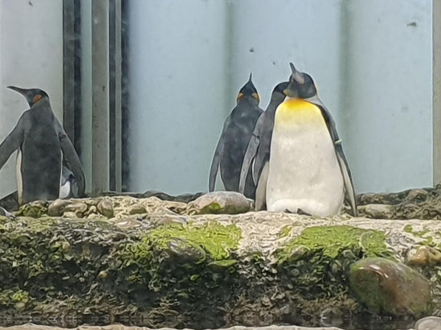 Zoo Basel 🗺️