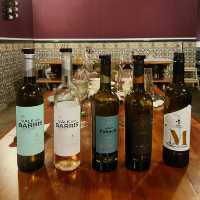 【🇵🇹葡萄牙旅行】Setúbal開心暢玩品酒遊
