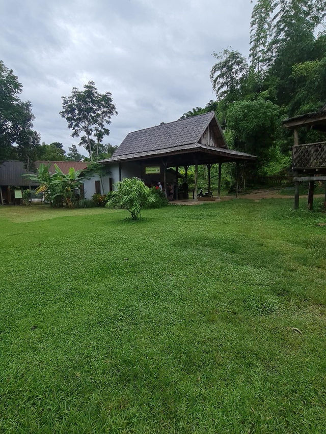 Elephant 🐘 village 🇱🇦 