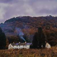 Windermere Wonders: Relaxing at Fell Foot