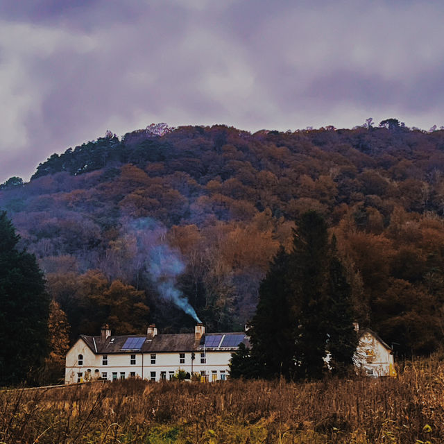 Windermere Wonders: Relaxing at Fell Foot