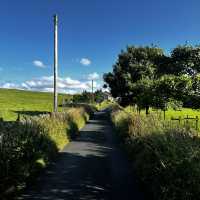 Summer in Lancashire 