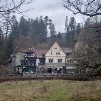 Winter Walks in Wallachia