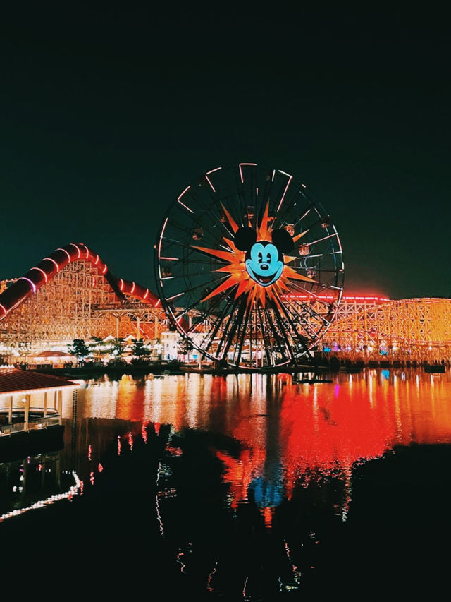 Disney California Adventure – Thrills, Shows & Hidden Gems!