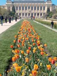 巴黎春天必須體驗百花齊放Jardin des Plantes