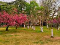 Zhongshan Park