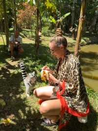 Lemuria Land