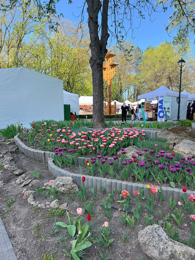 키시나우 Cathedral Park
