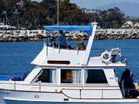 Dana Point - The Whale watching capital of the world! 