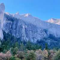 🌄 How to Get Around Yosemite National Park: Transportation Tips That Matter