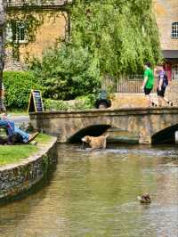 Cotswolds Day Trip