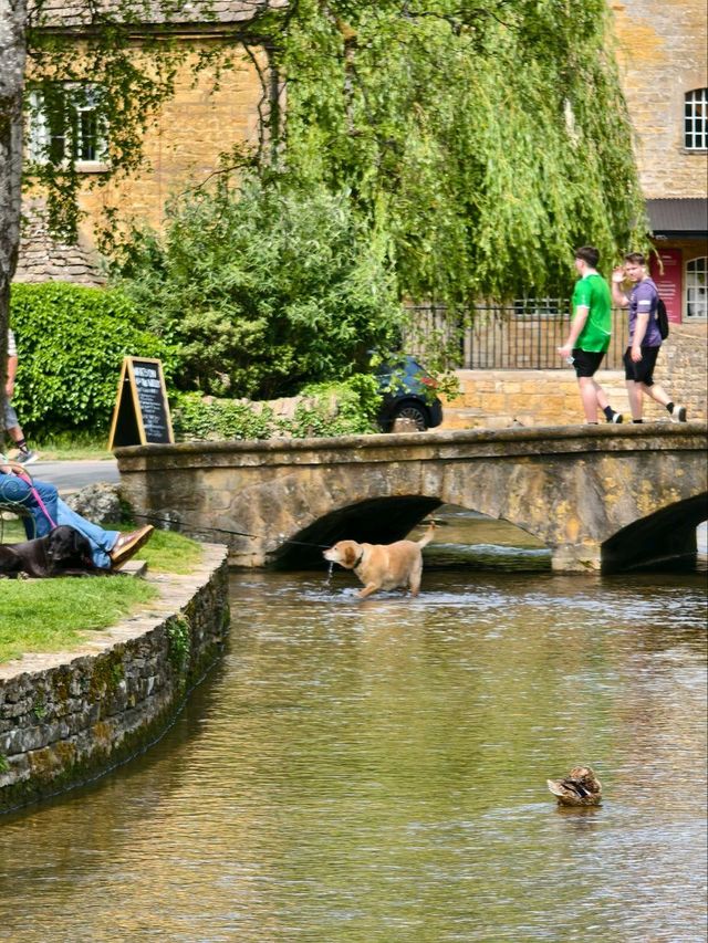 Cotswolds Day Trip