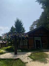 ☀️ Summer days on Nami Island 🏞️