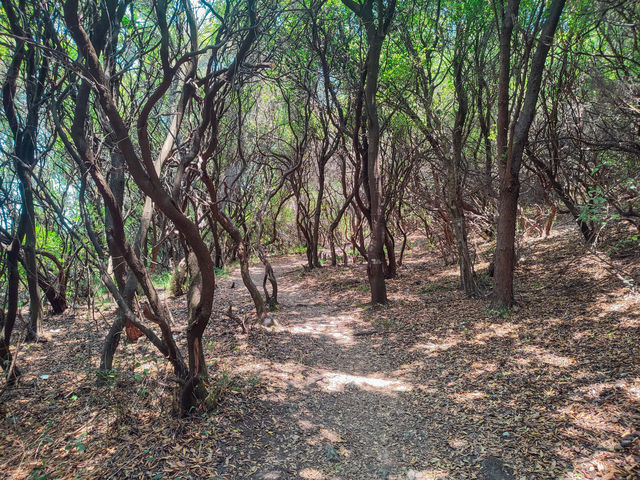 Hidden Gems along Corfu's North-East Coast