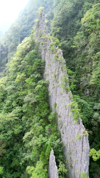 Blade Mountain-The Mysterious Natural Wonder of Vietnam