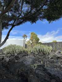 Why Lanzarote Might Be Europe’s Most Original Beach Destination