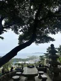 🌊 Western Jeju Day Trip: Nature, Culture & Matcha ☁️