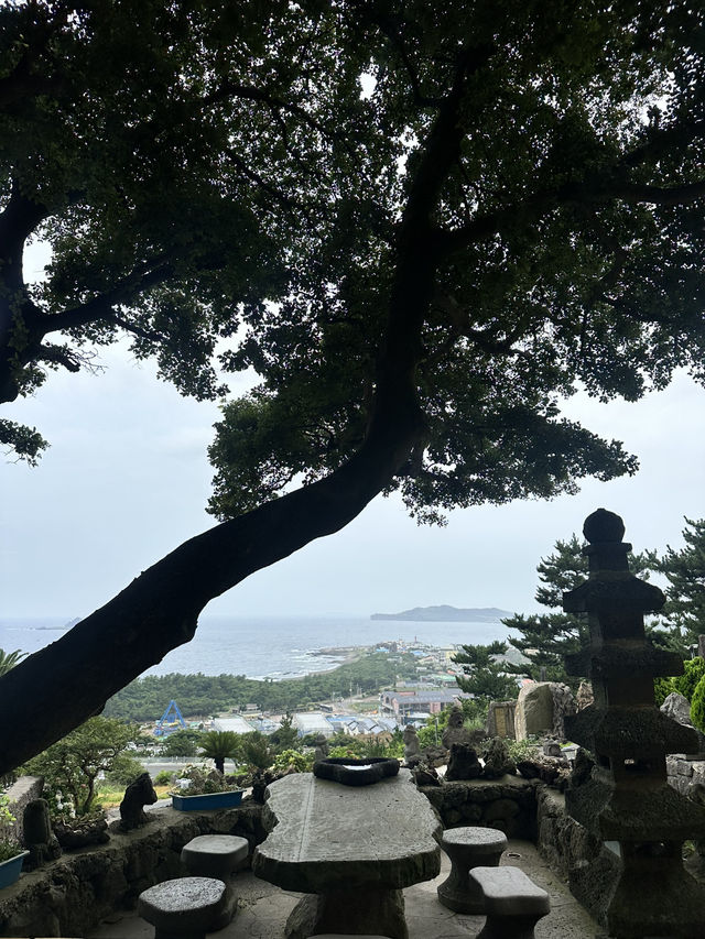 🌊 Western Jeju Day Trip: Nature, Culture & Matcha ☁️