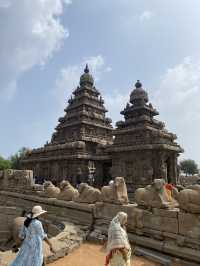 🌟 Review: Kapaleeshwarar Temple, Chennai