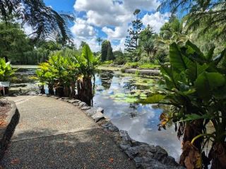 🌿 Brisbane Botanic Gardens: A Tranquil Escape Beneath the Southern Sun ☀️🇦🇺