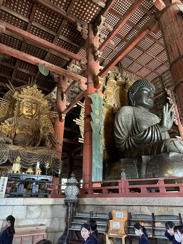Step into Spiritual Grandeur at Nara’s Todaiji!