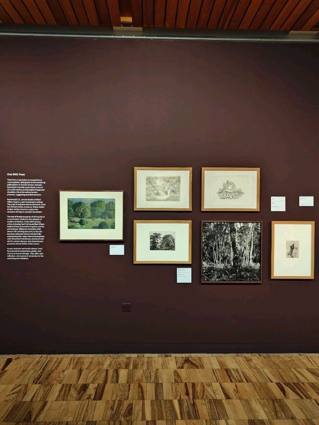 Whitworth’s Tree Gallery — Where Roots Speak and Branches Remember Whitworth’s Tree Gallery — Where Roots Speak and Branches Remember