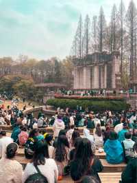 The Home of the Pigeons, Nanjing