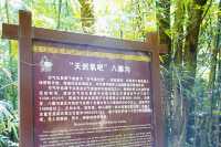欽州八寨溝，遠離喧囂、盡享自然之美的仙境