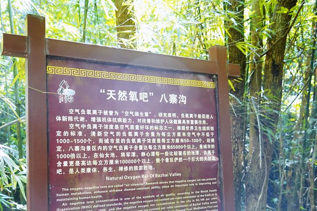 欽州八寨溝，遠離喧囂、盡享自然之美的仙境
