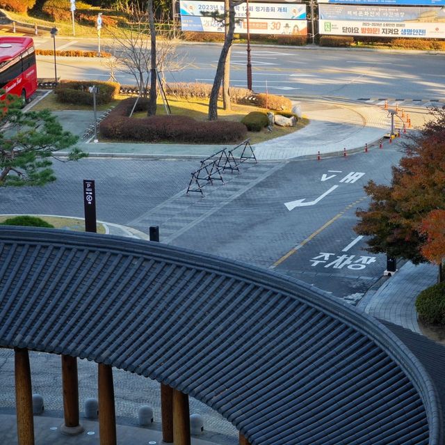 🏨住宿意外驚喜『🇰🇷忠清南道•扶余樂天度假村』