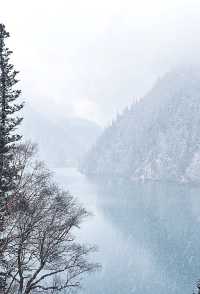 九寨溝|突遇下雪，在九寨溝失控了