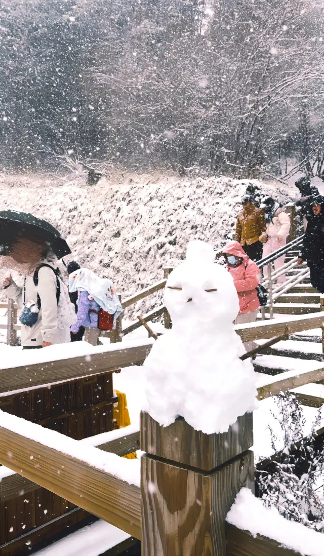 九寨溝|突遇下雪，在九寨溝失控了