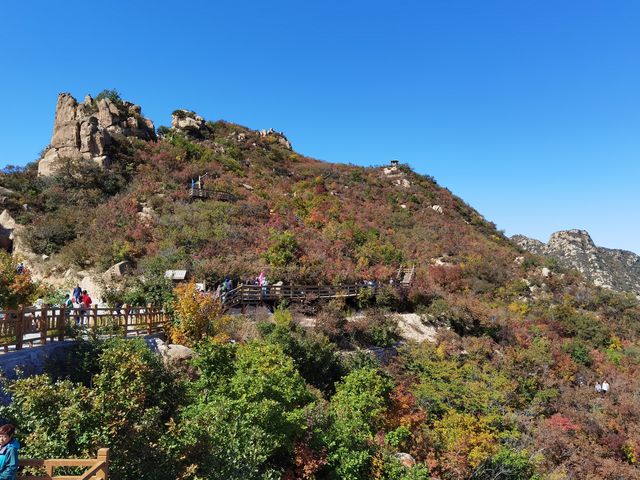 遼寧北票大黑山，蒙遼交界的綠島，秋色醉人