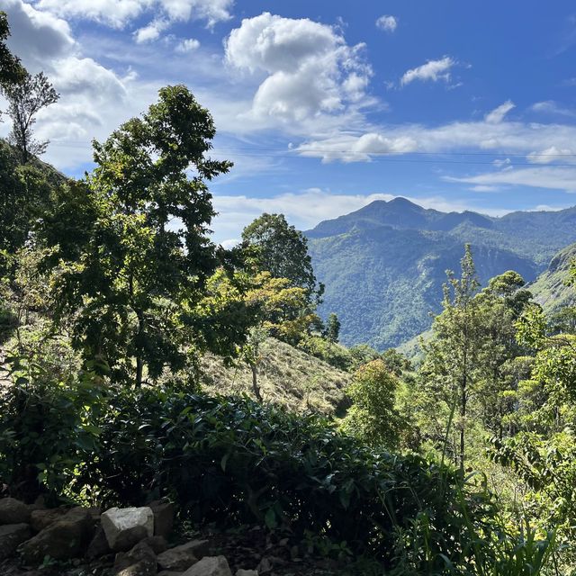 Little Adam’s Peak