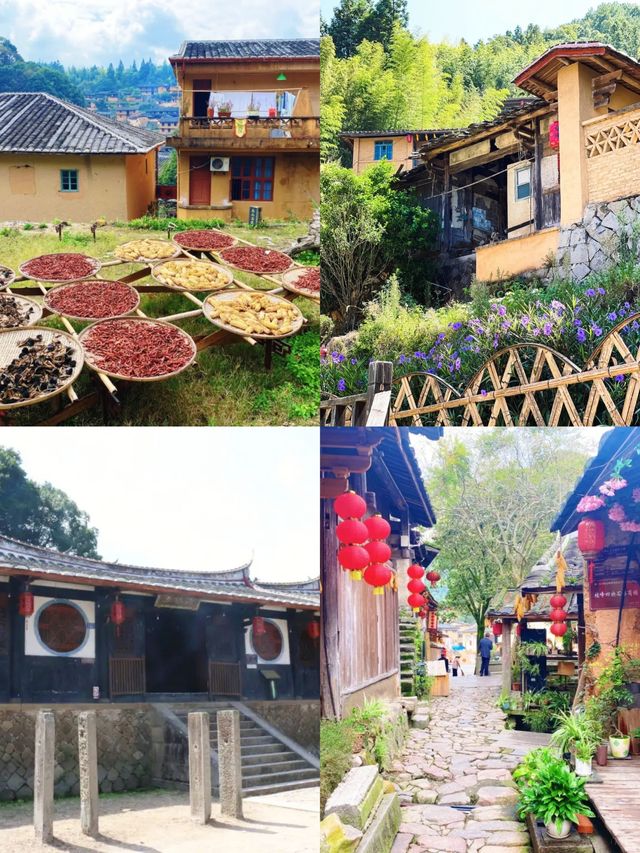 為什麼來桂峰村？