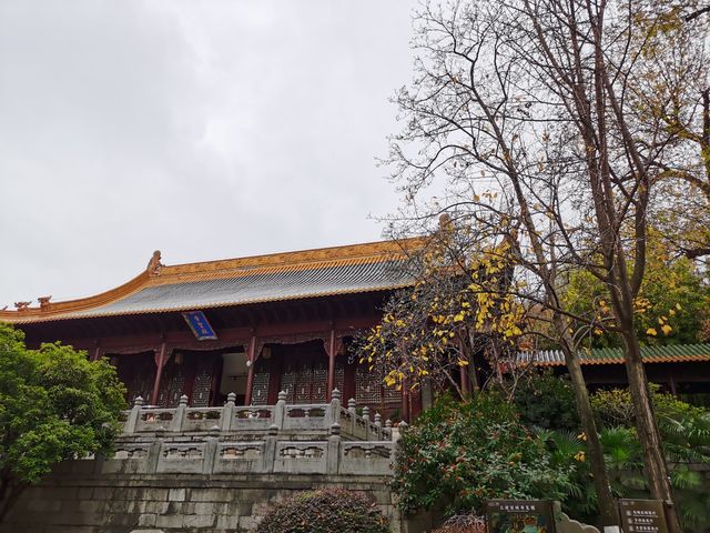 南京市博物館