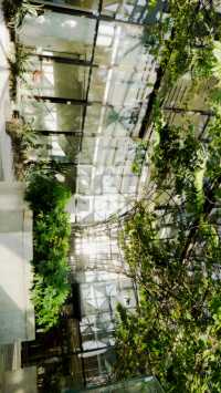 藏在泉州都市裡的室內“空中花園”