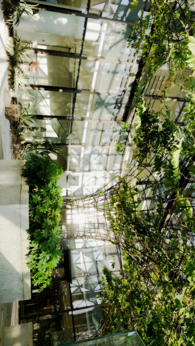 藏在泉州都市裡的室內“空中花園”