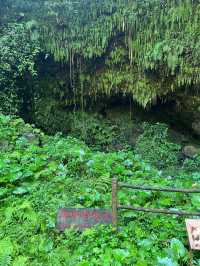 探秘自然奇蹟｜雷瓊火山口地質公園之旅