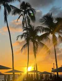 夏威夷島的浪漫，是熱烈的自由的…
