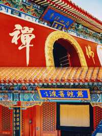 上上簽！龍口南山祈福之旅~