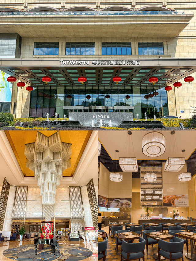 住宿篇｜去福州旅遊前刷到這篇就好了