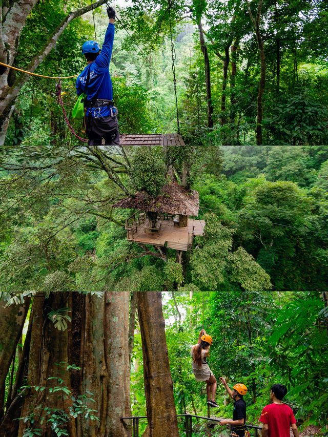 清邁，泰國第二大城市的慵懶與刺激