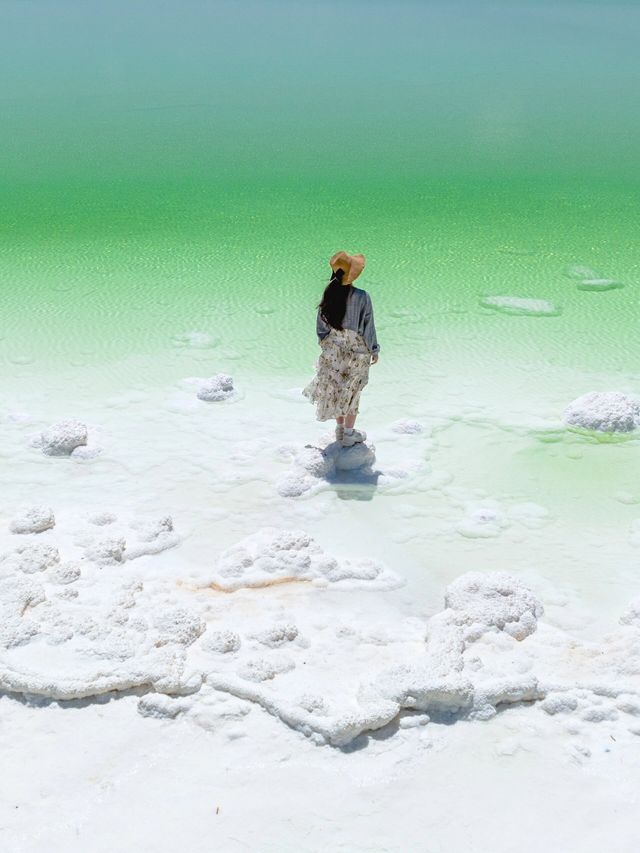 綠色寶藏：察爾漢鹽湖的生機與活力