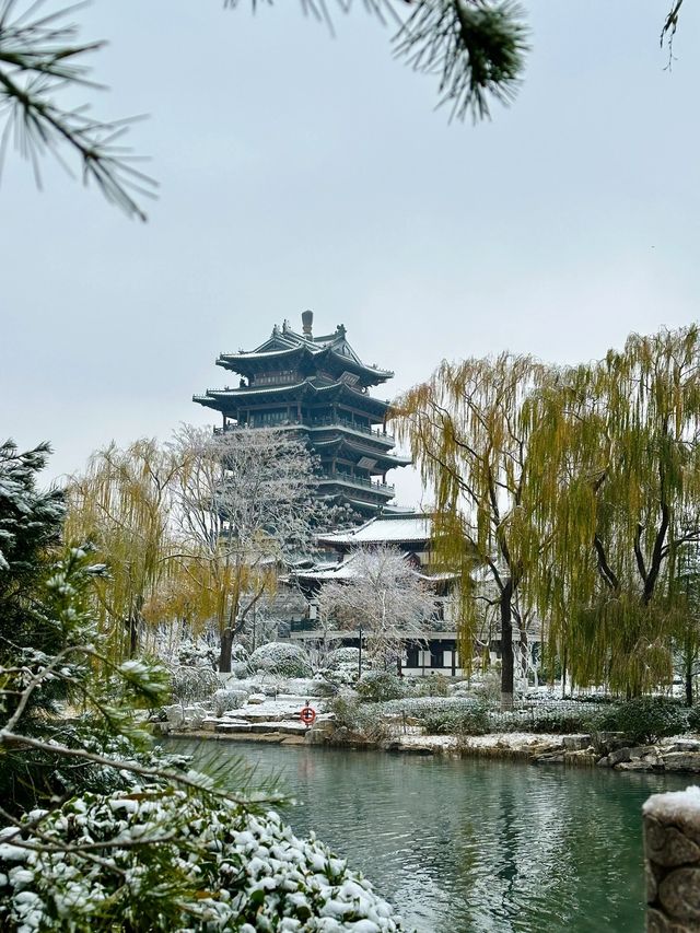 下雪文學｜原來你是這樣的濟南