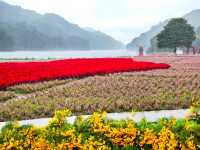 石門國家森林公園美景圖