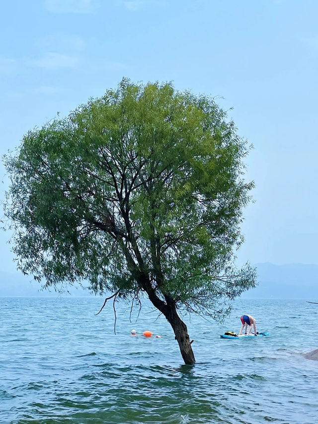 從鄭州出發2小時，一個非常像海的地方