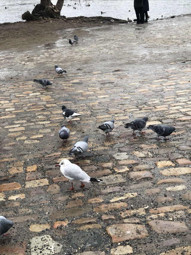 布拉格一日遊