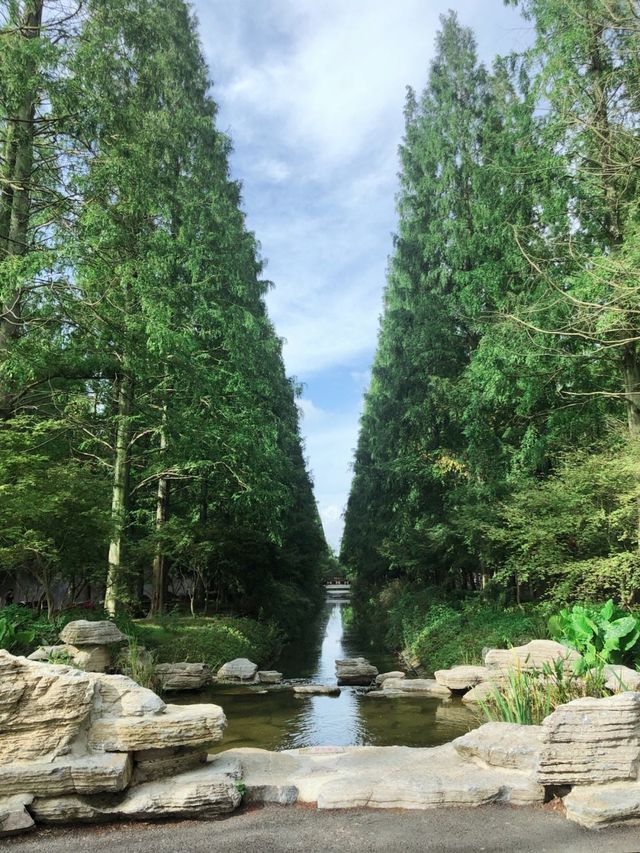 上海崇明島—東平森林公園