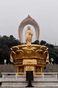 探秘江西九江：東林大佛，金色佛像的魅力